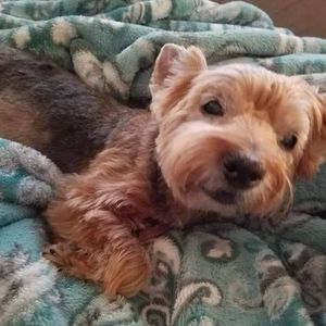 Meet your Posher, Lisa